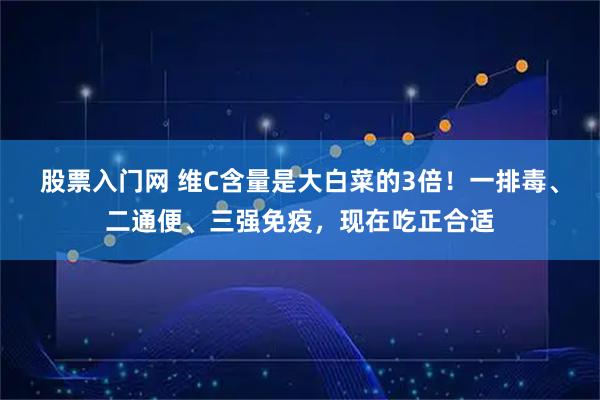 股票入门网 维C含量是大白菜的3倍！一排毒、二通便、三强免疫，现在吃正合适